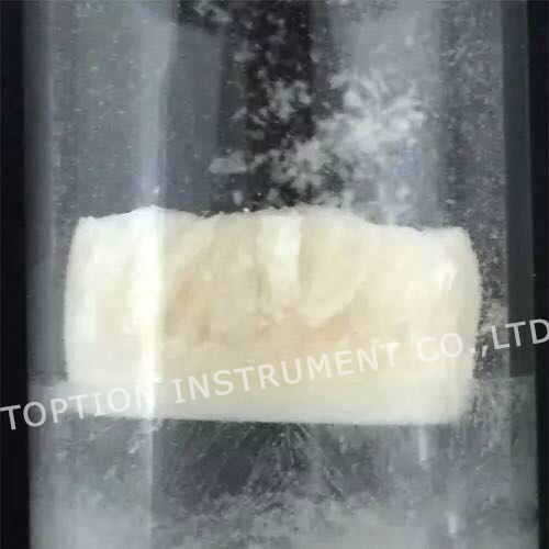 medicine vacuum freeze drying process toption